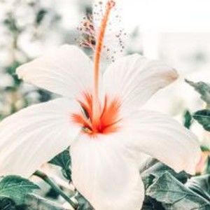 Meet your Posher, Mariah